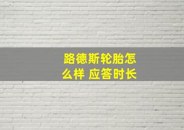 路德斯轮胎怎么样 应答时长